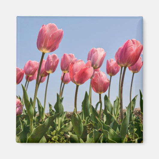 Bloemen Magneet (Voorkant)