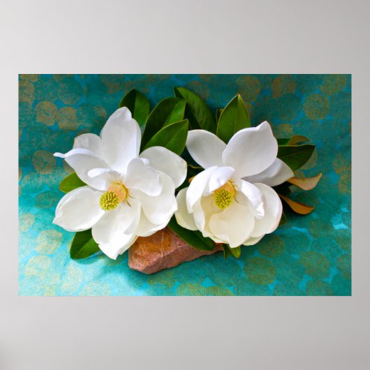 Bloemen | Magnolia Flower Poster (Voorkant)