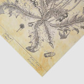  Bloemen met rotatieontkoppeling Tissuepapier (Detail)