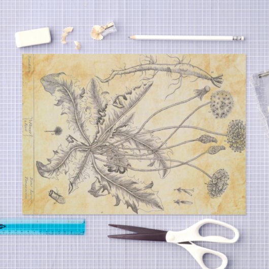 Bloemen met rotatieontkoppeling Tissuepapier (Craft)