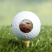  bloemen monettuin in argenteuil sun golfballen (Insitu Shirt)