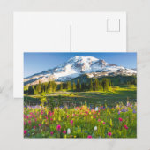 Bloemen | Mt. Rainier Wildbloemen Briefkaart (Voorkant / Achterkant)