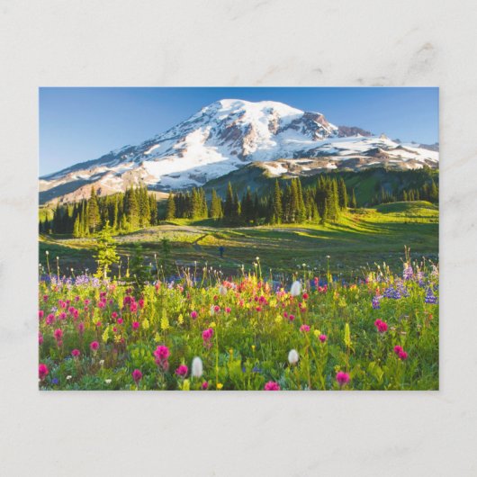 Bloemen | Mt. Rainier Wildbloemen Briefkaart (Voorkant)