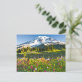 Bloemen | Mt. Rainier Wildbloemen Briefkaart (Staand voorkant)