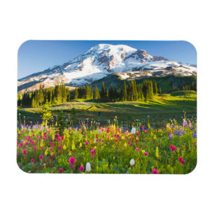 Bloemen   Mt. Rainier Wildbloemen Magneet