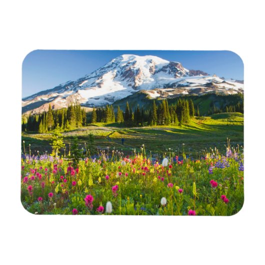 Bloemen | Mt. Rainier Wildbloemen Magneet (Horizontaal)
