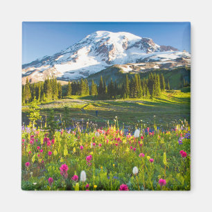 Bloemen   Mt. Rainier Wildbloemen Magneet