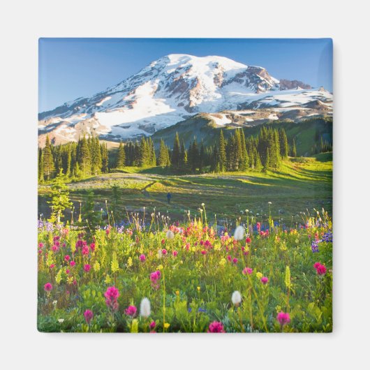 Bloemen | Mt. Rainier Wildbloemen Magneet (Voorkant)