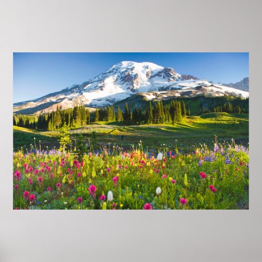 Bloemen | Mt. Rainier Wildbloemen Poster (Voorkant)