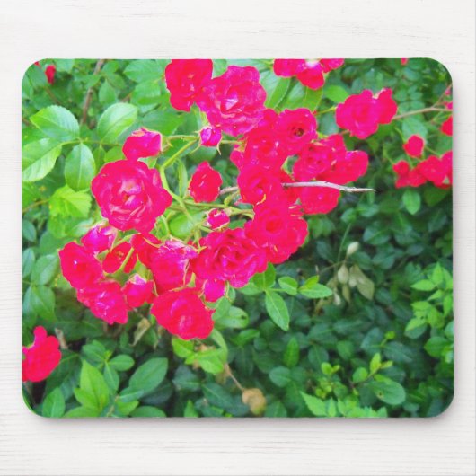 bloemen muismat (Voorkant)