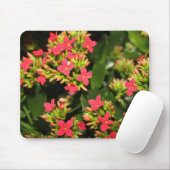 bloemen muismat (Met muis)