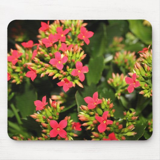 bloemen muismat (Voorkant)