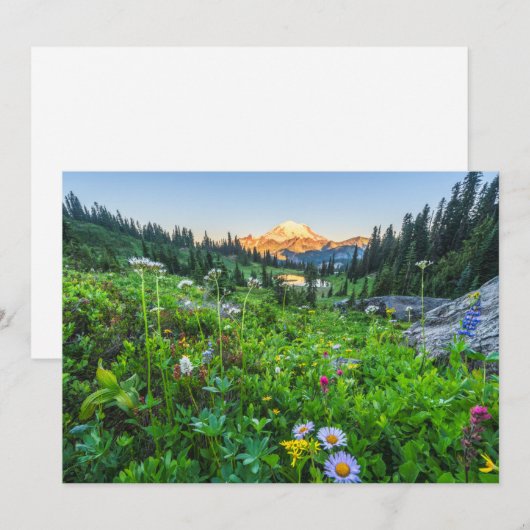 Bloemen | Nationaal park Mount Rainier Bedankkaart (Voorkant / Achterkant)