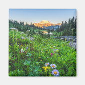 Bloemen | Nationaal park Mount Rainier Magneet (Voorkant)