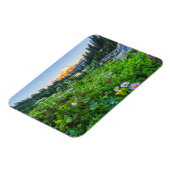 Bloemen | Nationaal park Mount Rainier Magneet (Linkerzijde)