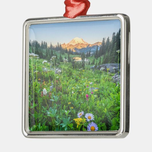 Bloemen | Nationaal park Mount Rainier Metalen Ornament (Links)