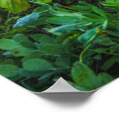 Bloemen | Nationaal park Mount Rainier Poster (Hoek)