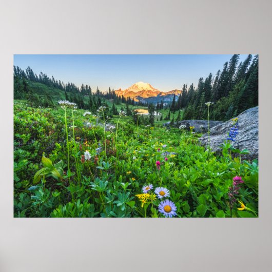 Bloemen | Nationaal park Mount Rainier Poster (Voorkant)