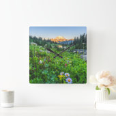 Bloemen | Nationaal park Mount Rainier Vierkante Klok (Huis)