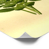 Bloemen Natuur Botanische Brandende Struik Illus Poster (Hoek)