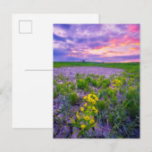 Bloemen | North Dakota Red River Valley Briefkaart (Voorkant / Achterkant)