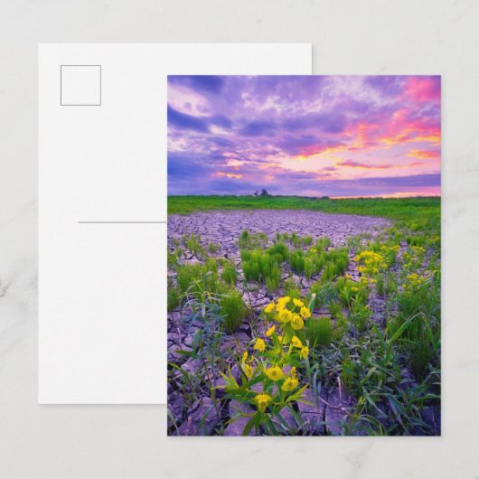 Bloemen | North Dakota Red River Valley Briefkaart (Voorkant / Achterkant)