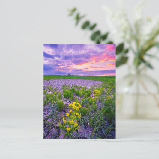 Bloemen | North Dakota Red River Valley Briefkaart (Staand voorkant)