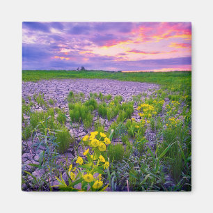 Bloemen North Dakota Red River Valley Magneet