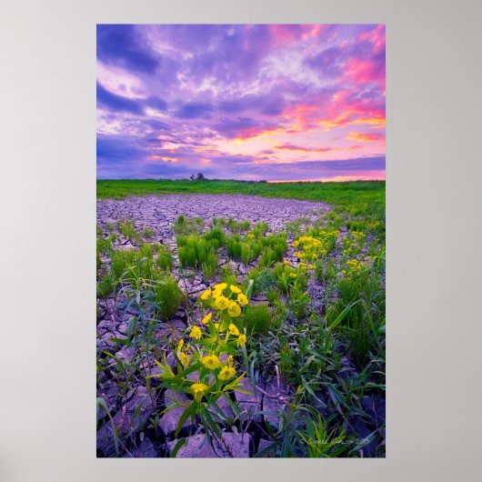 Bloemen | North Dakota Red River Valley Poster (Voorkant)
