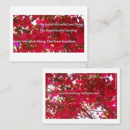 Bloemen Notitiekaartje (Voorkant / Achterkant)