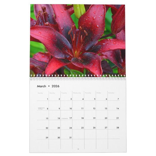 Bloemen omhoog dichtbij kalender (Mar 2026)