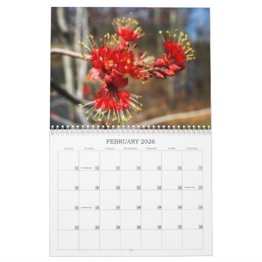 Bloemen Omhoog Sluiten Agenda Kalender (Feb 2026)