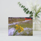 Bloemen op Bull Creek Briefkaart (Staand voorkant)