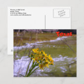 Bloemen op Bull Creek Briefkaart (Voorkant / Achterkant)