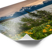 Bloemen op Colter Bay Foto Afdruk (Hoek)