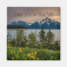 Bloemen op Colter Bay