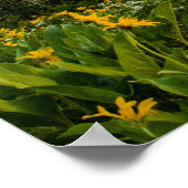 Bloemen op Colter Bay Poster (Hoek)