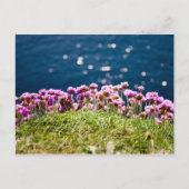 Bloemen op de Cliffs of Moher Briefkaart (Voorkant)