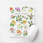 Bloemen op de Filipijnen Muismat (Met muis)