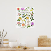 Bloemen op de Filipijnen Poster (Keuken)