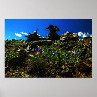 Bloemen op de geiten poster