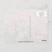 Bloemen op de toendra, Alaska Roze bloemen Briefkaart (Achterkant)