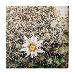 Bloemen op een Cactus Tegeltje