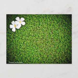 Bloemen op het gazon briefkaart