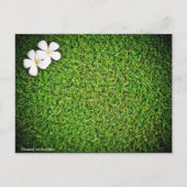 Bloemen op het gazon briefkaart (Voorkant)