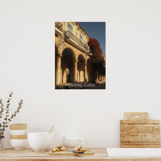 Bloemen op het Poster Plaza de la Catedral, Havana (Keuken)