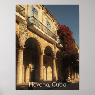 Bloemen op het Poster Plaza de la Catedral, Havana