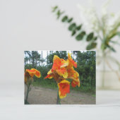 Bloemen op planten, Costa Rica. Briefkaart (Staand voorkant)