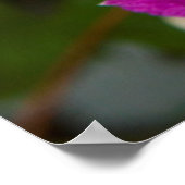 Bloemen op Robinette's Apple Haus & Gift Barn Poster (Hoek)