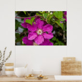 Bloemen op Robinette's Apple Haus & Gift Barn Poster (Keuken)